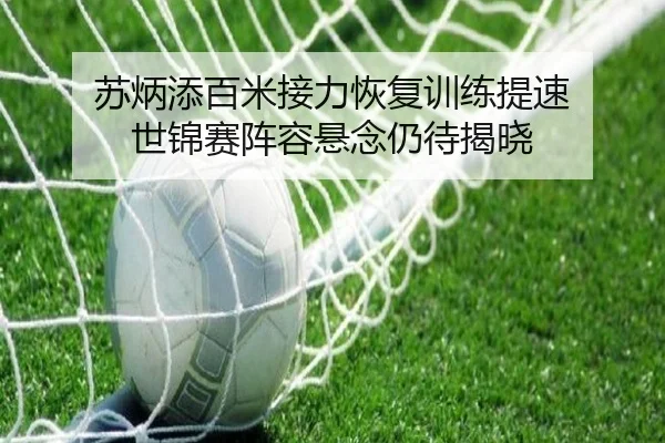 苏炳添百米接力恢复训练提速 世锦赛阵容悬念仍待揭晓